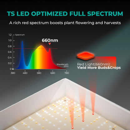 Mars Hydro TS 1000 LED Grow Light + 2.3' x 2.3' Grow Tent + Inline Fan Combo with Speed Controller - Midwest Grow LLC