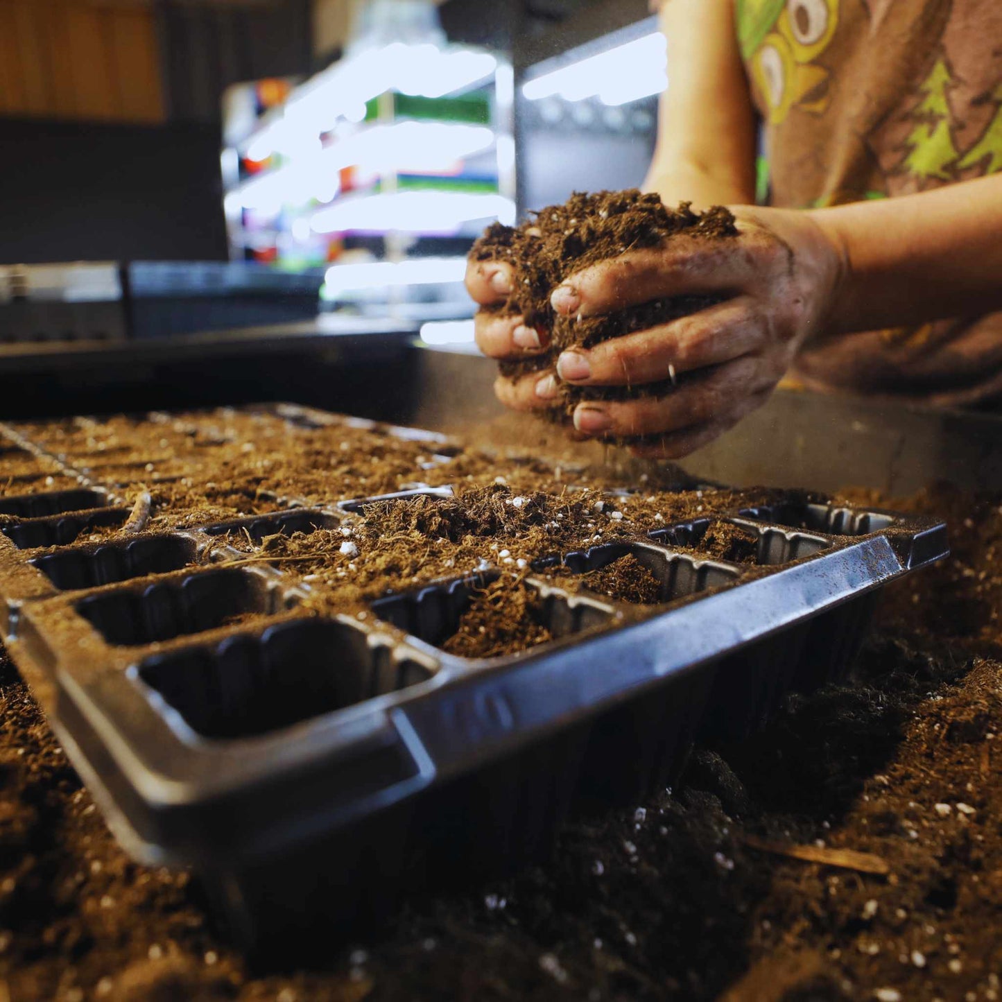 50 Cell Seed Planting Trays - Midwest Grow LLC