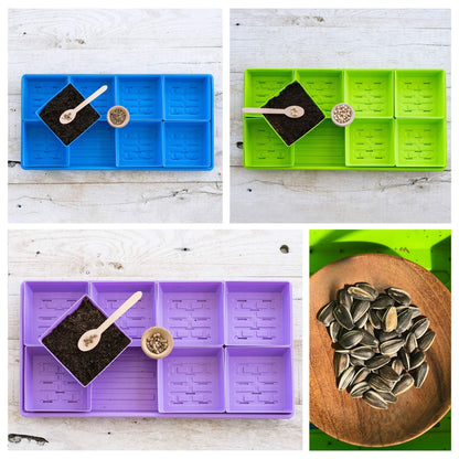 5x5 Microgreens Kit