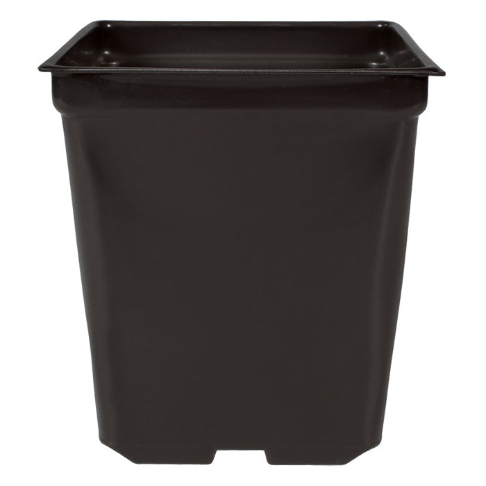 5'' x 5'' x 4.5'' Square 1.25qt Square Pot 10 pack