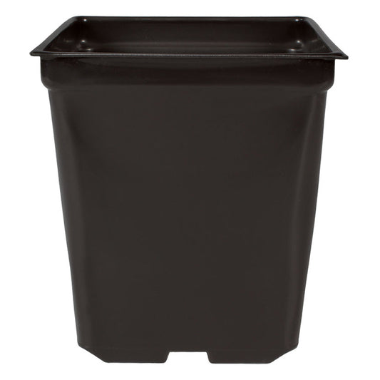 5'' x 5'' x 4.5'' Square 1.25qt Square Pot 10 pack