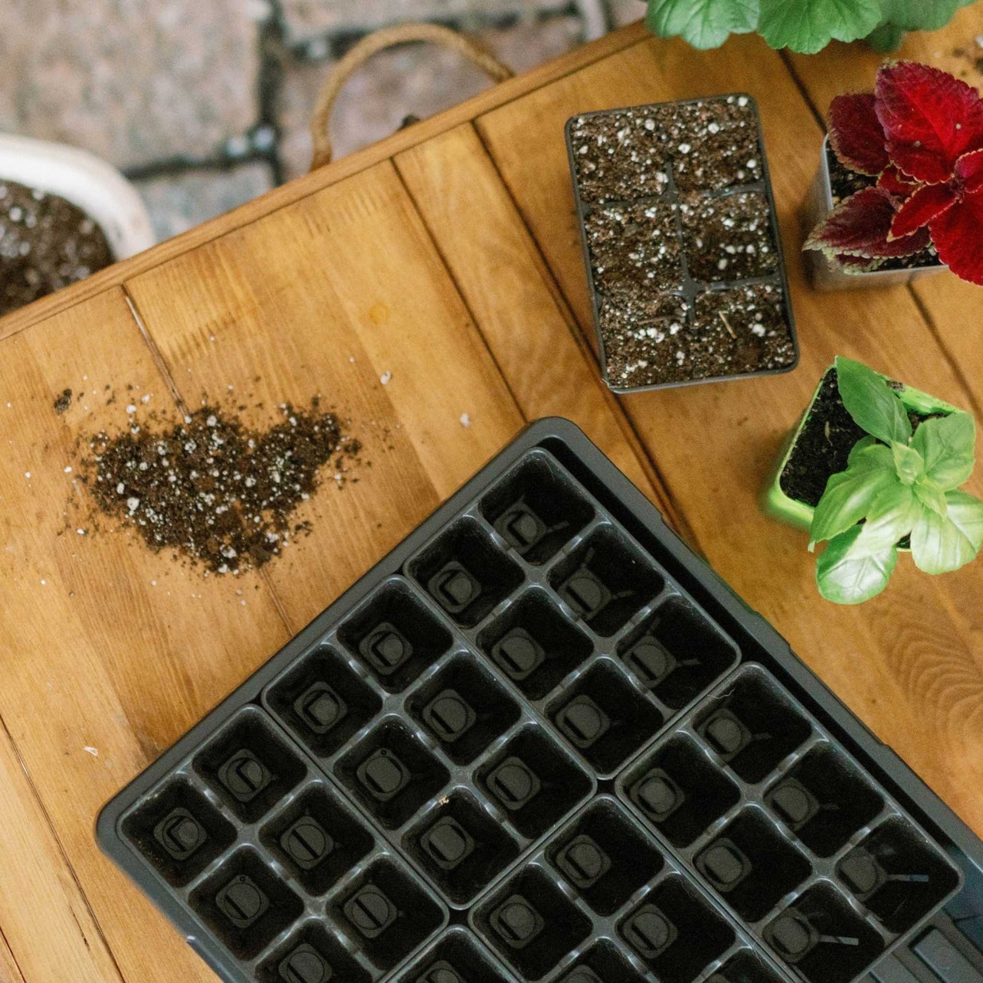 6 Cell Plug Tray Inserts - Midwest Grow LLC