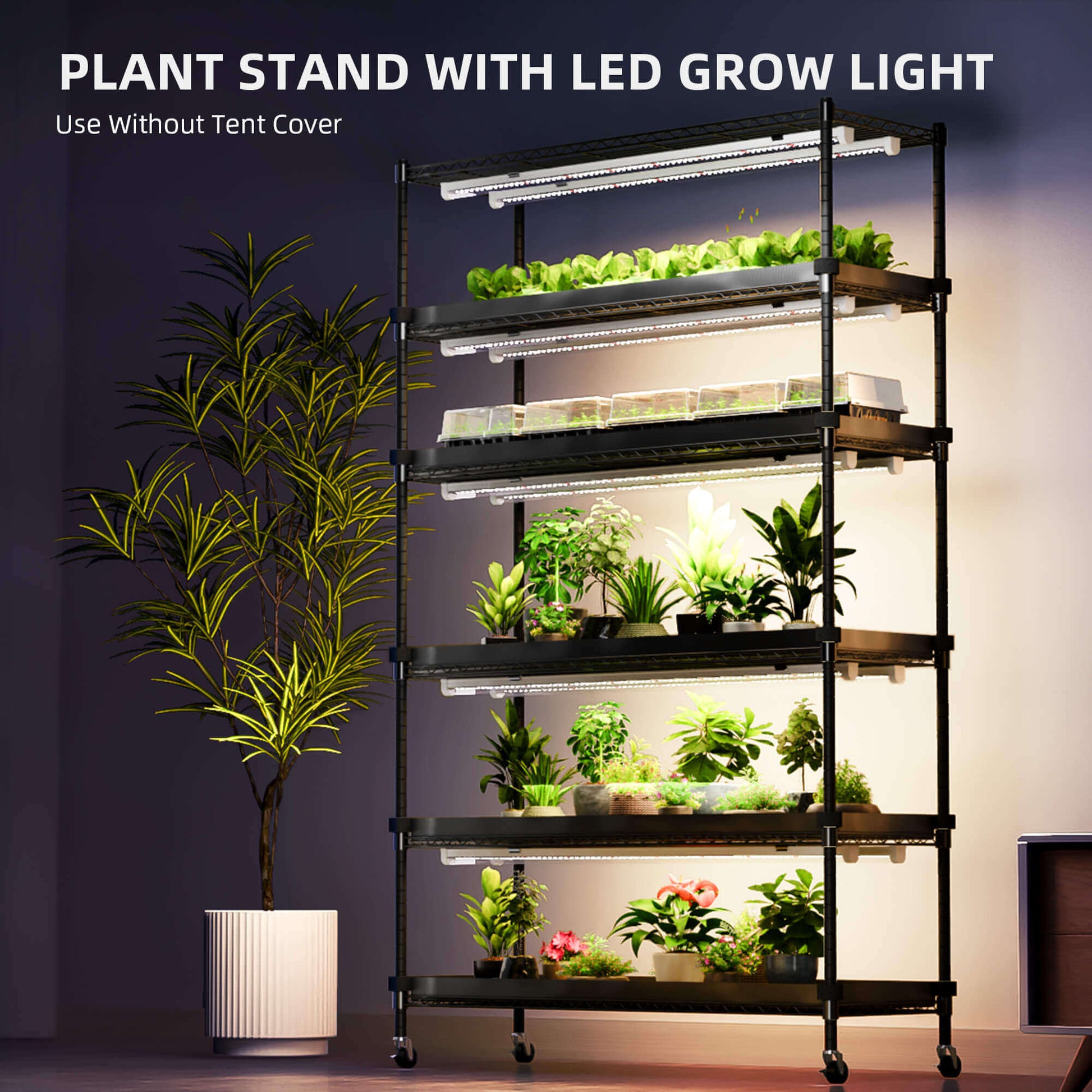 Spider Farmer 6 Tier Plant Stand + 10 x 22W LED Lights Bars + 1' 4" x 3' 8" Grow Tent Kit - Midwest Grow LLC