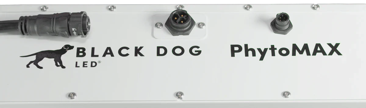 Black Dog LED PhytoMAX-4 20SP 1250W LED Grow Light - Midwest Grow LLC