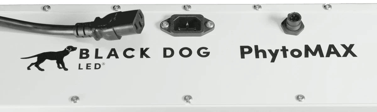 Black Dog LED PhytoMAX-4 4SC 250W LED Grow Light
