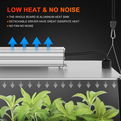Spider Farmer SF1000D LED Grow Light + 2' x 2' Grow Tent + Inline Fan Combo with Speed Controller - Midwest Grow LLC