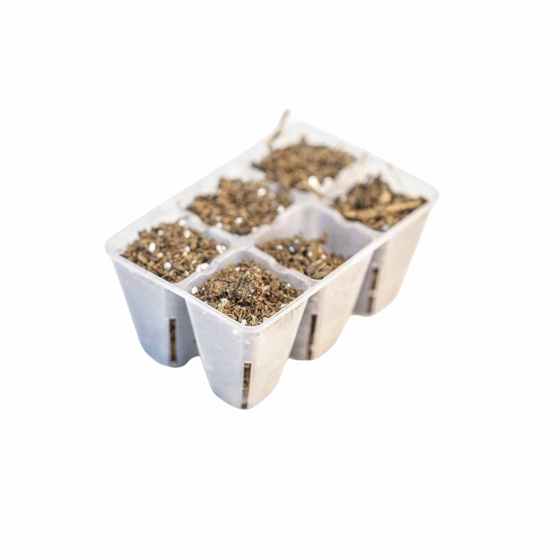 6 Cell Plug Tray Inserts - Midwest Grow LLC