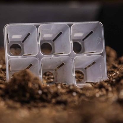 6 Cell Plug Tray Inserts - Midwest Grow LLC