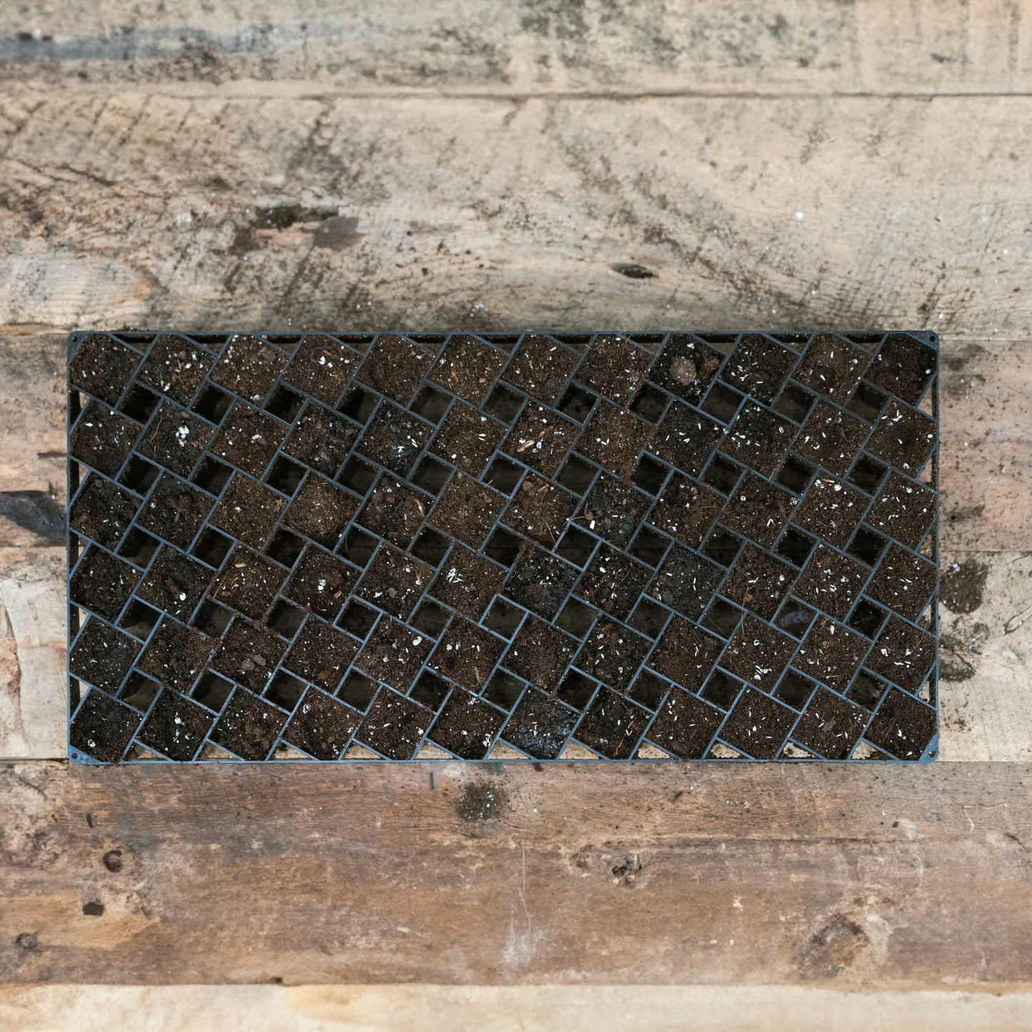 Air Prune Heavy Duty Propagation Tray - 72 Cell - Midwest Grow LLC