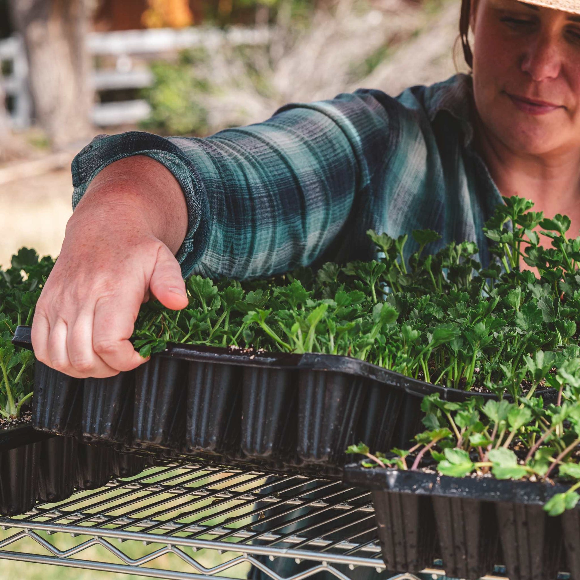 72-Cell Seed Starting Trays - Midwest Grow LLC