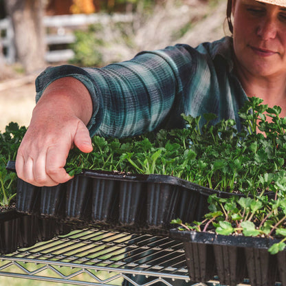 72-Cell Seed Starting Trays - Midwest Grow LLC
