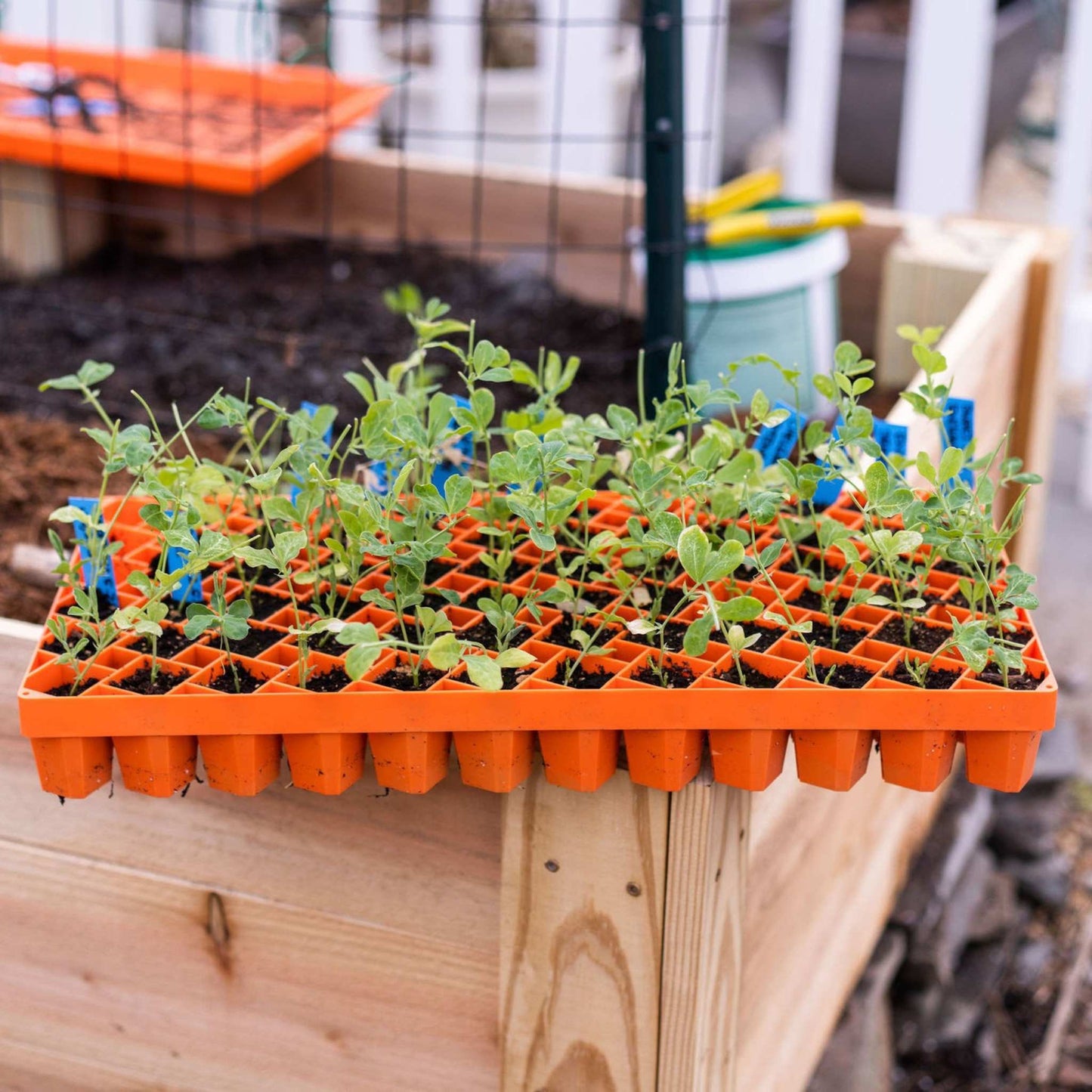 Air Prune Heavy Duty Propagation Tray - 72 Cell - Midwest Grow LLC