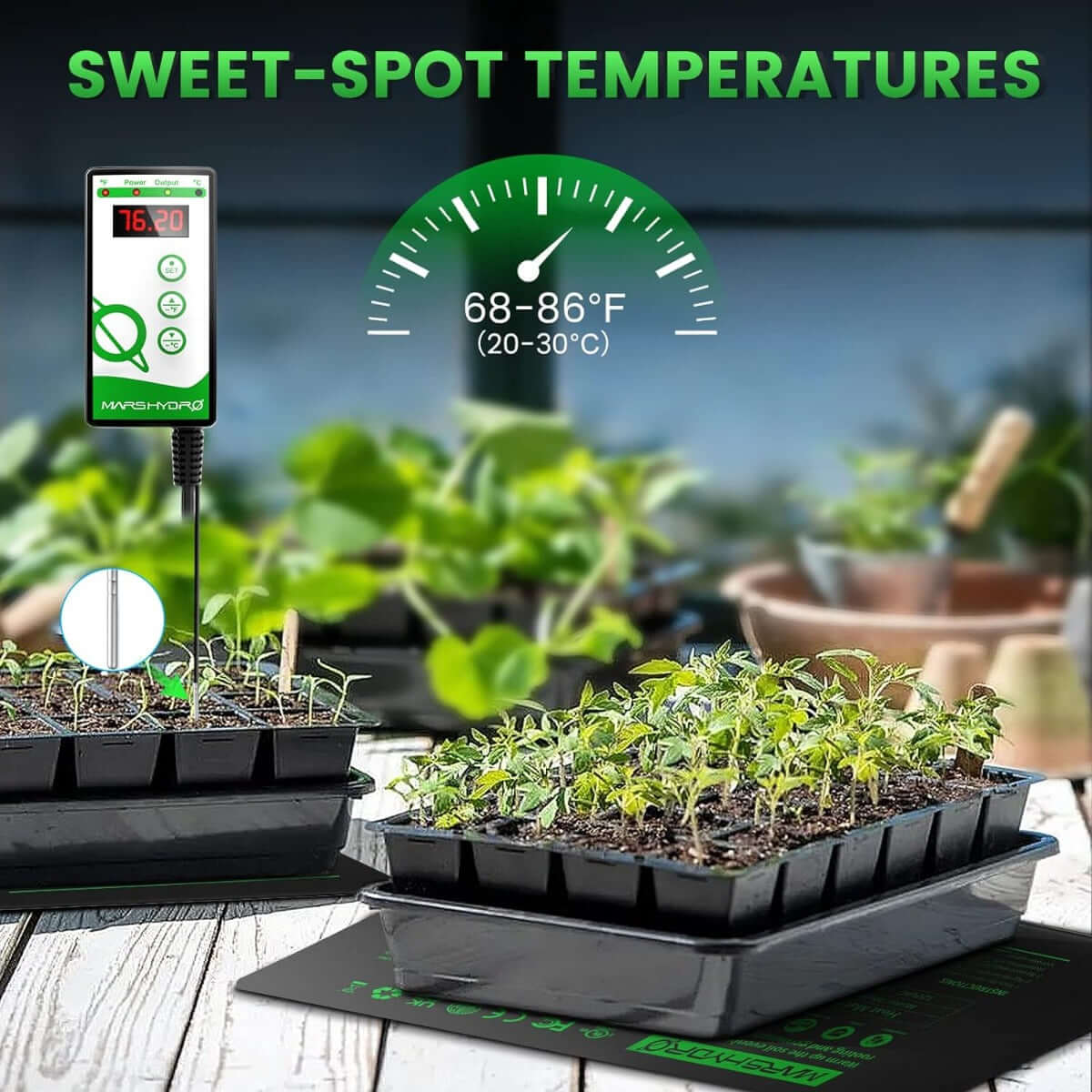 Mars Hydro 10'' x 20.75'' Seedling Heat Mat and Digital Thermostat Combo - Midwest Grow LLC