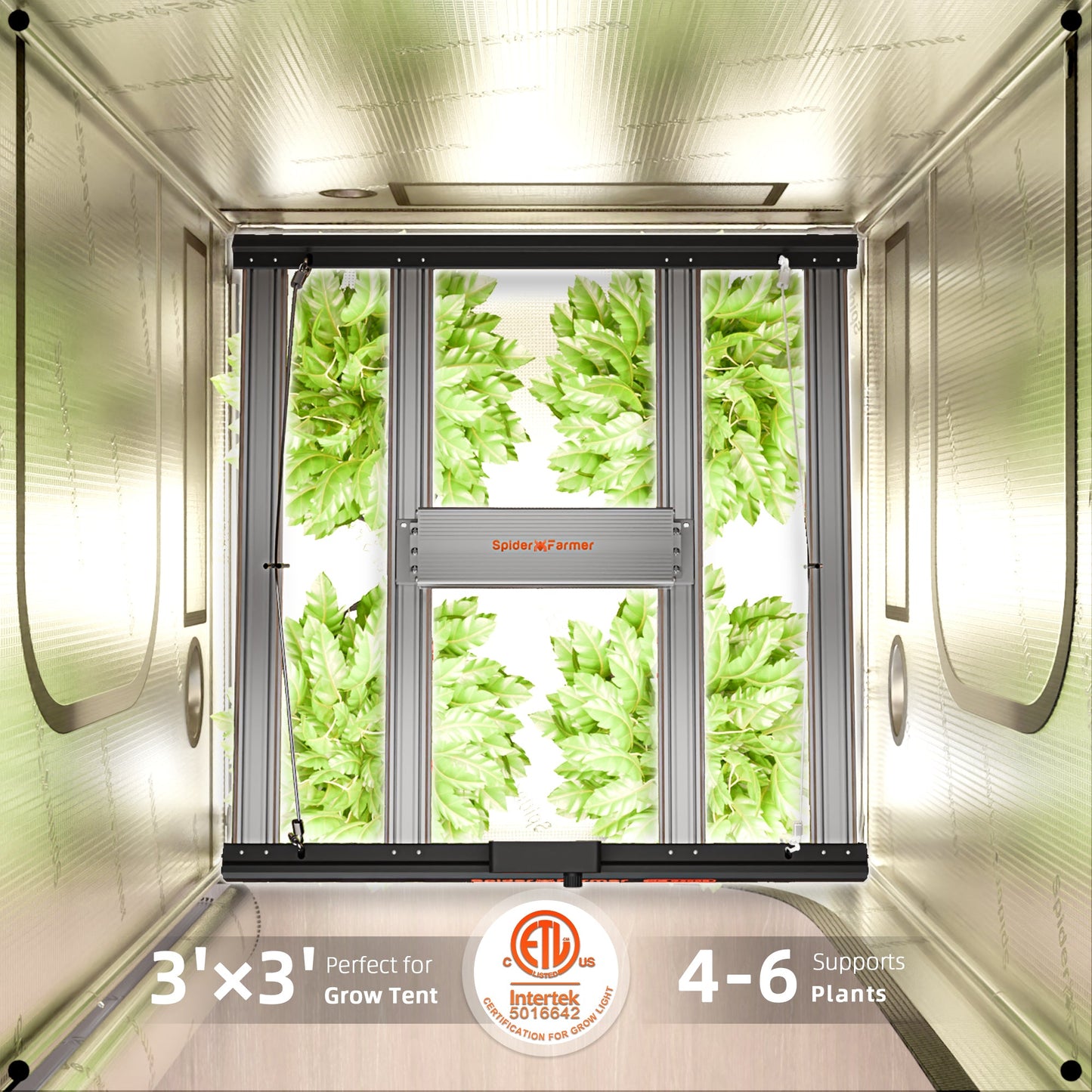 Spider Farmer G3000 300W Dimmable Full Spectrum LED Grow Light - Midwest Grow LLC