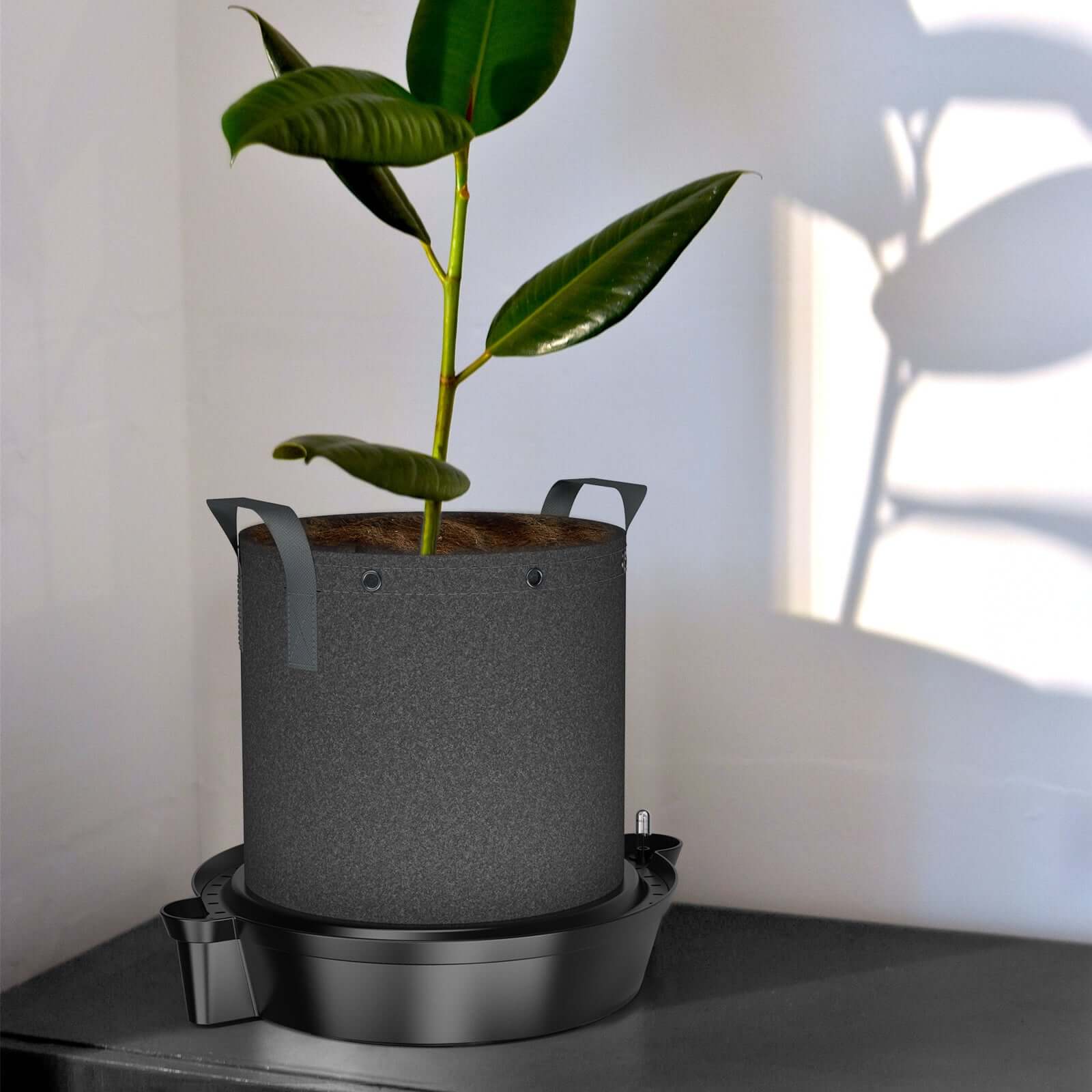 AC Infinity Self-Watering Fabric Pot Base XL, 4-Pack - Midwest Grow LLC