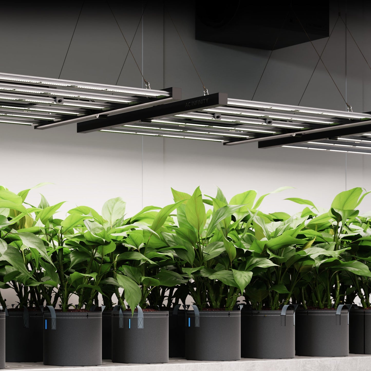 AC Infinity IONFRAME EVO10 1000W Samsung LM301H EVO Commercial LED Grow Light 5 x 5 Ft - Midwest Grow LLC