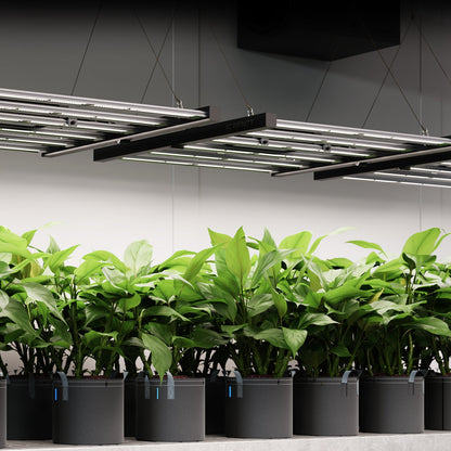 AC Infinity IONFRAME EVO3 280W Samsung LM301H EVO Commercial LED Grow Light 2 x 4 Ft - Midwest Grow LLC