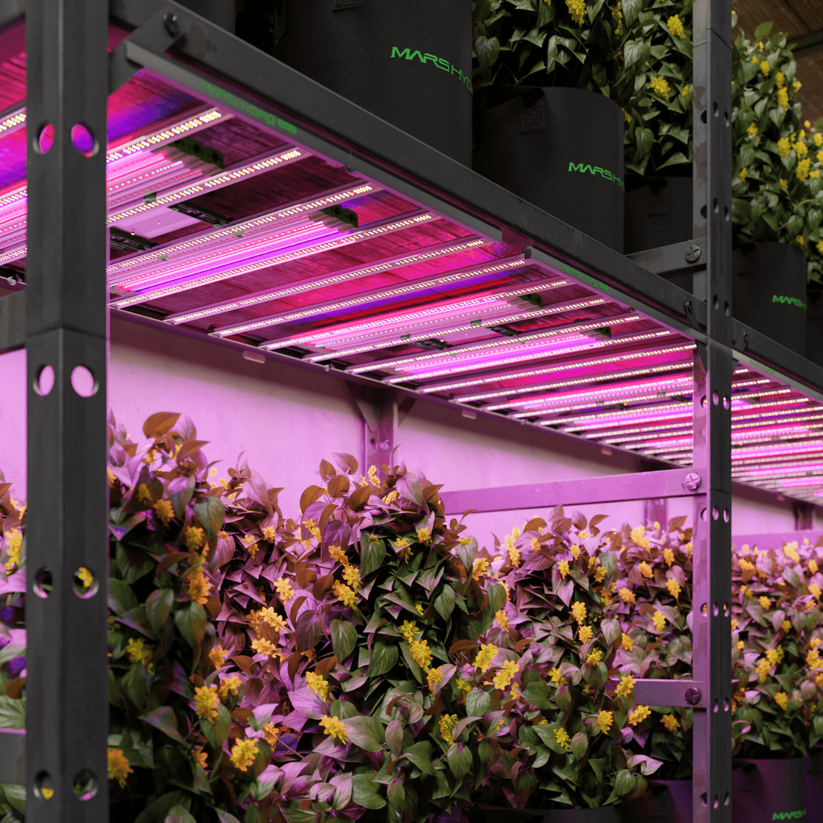 Mars Hydro ADLite UV 15W + IR 8W Supplemental LED Grow Light Bars Combo - Set of 2 - Midwest Grow LLC