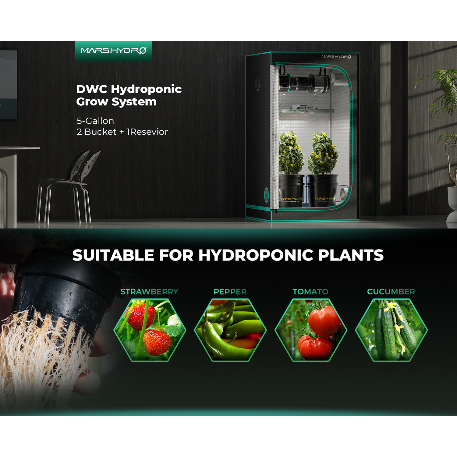 Mars Hydro 5-Gallon Deep Water Culture Hydroponic System Kit with 2 Buckets - Midwest Grow LLC