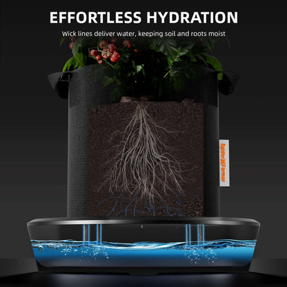 Spider Farmer 4 Self-watering System Kits - Midwest Grow LLC