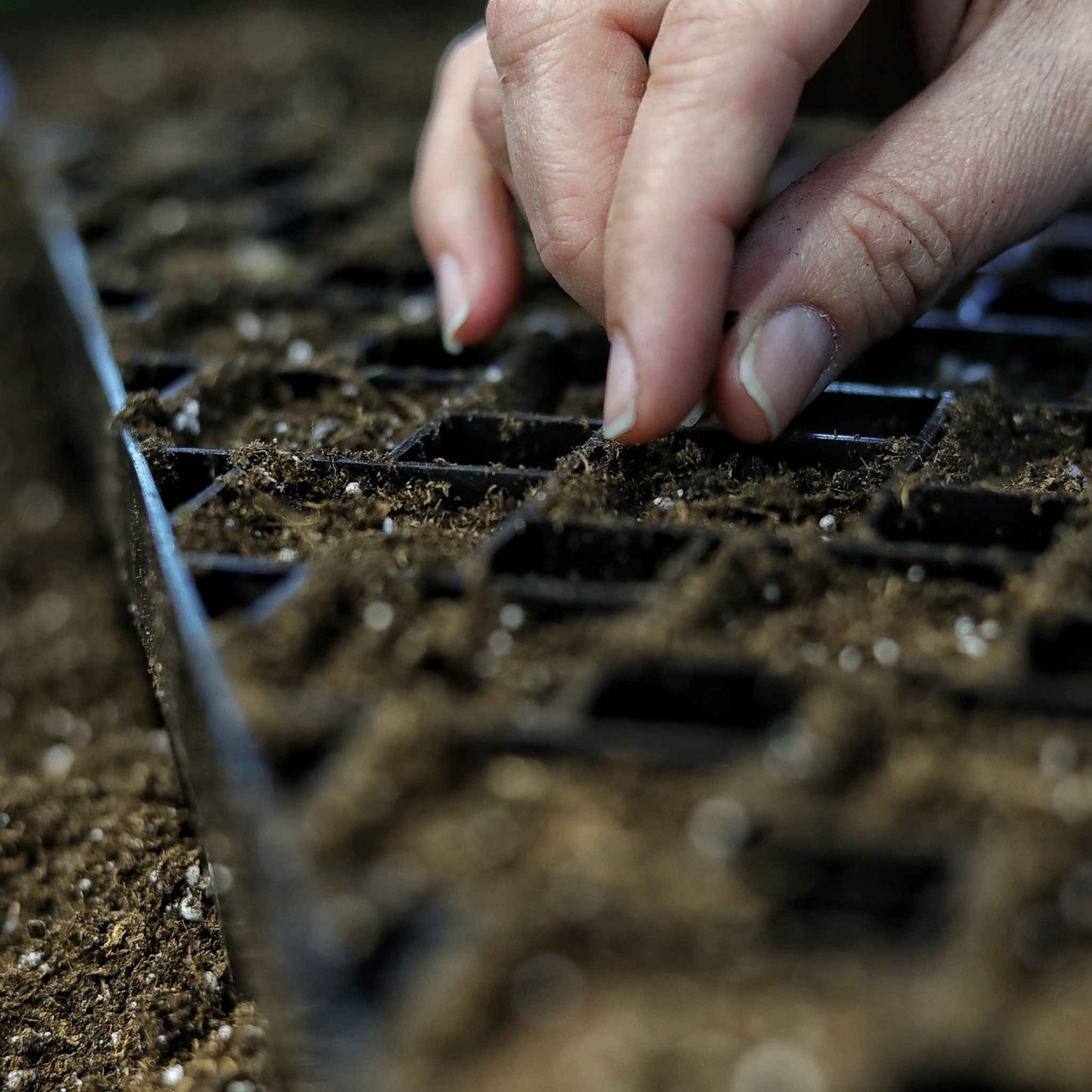 The Market Gardener Seed Starting Bundle - Midwest Grow LLC