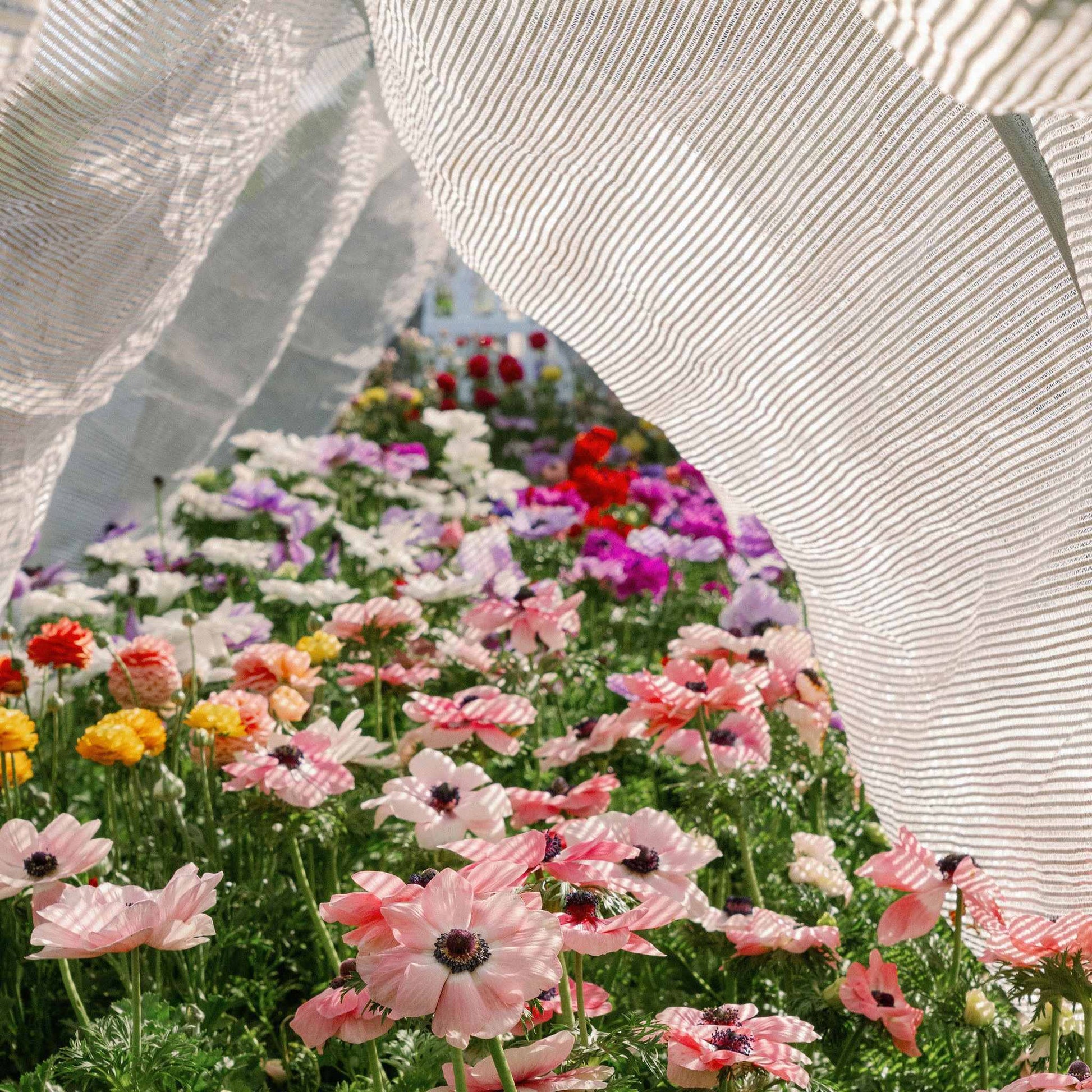 Greenhouse Aluminum White Shade Cloth- 50% - Midwest Grow LLC