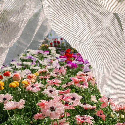 Greenhouse Aluminum White Shade Cloth- 50% - Midwest Grow LLC