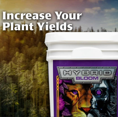 Hybrid Bloom