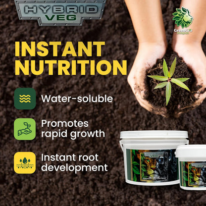 Hybrid Veg