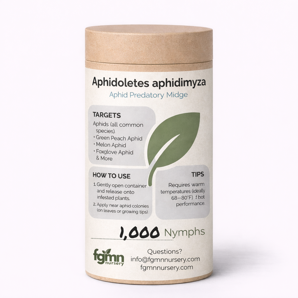 Aphidoletes aphidimyza - Midwest Grow LLC