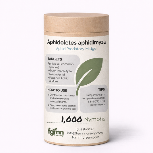 Aphidoletes aphidimyza - Midwest Grow LLC