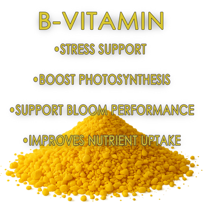 RAW B-Vitamin | 1% Vitamin B1 + 9% Magnesium | Water-Soluble Plant Supplement