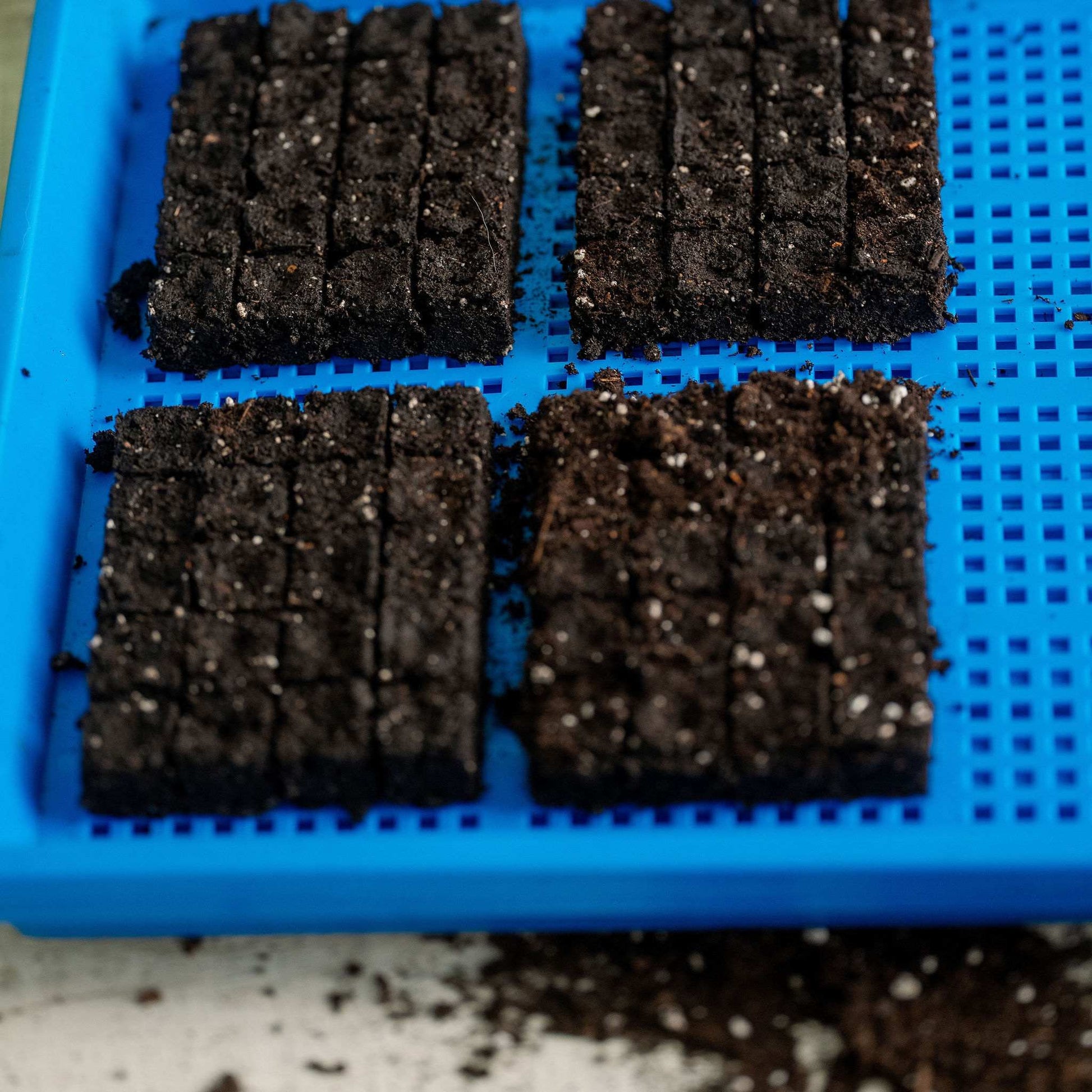 1020 Mesh Trays Shallow Extra Strength Colors - 1" Deep - Midwest Grow LLC