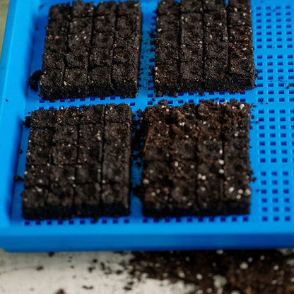 1020 Mesh Trays Shallow Extra Strength Colors - 1" Deep - Midwest Grow LLC