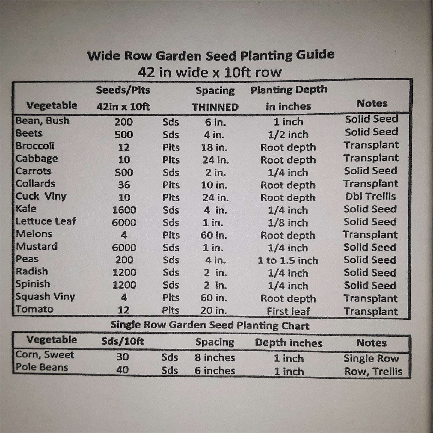Hatch Cert. Giuzeppi Chile Hot Pepper Seeds