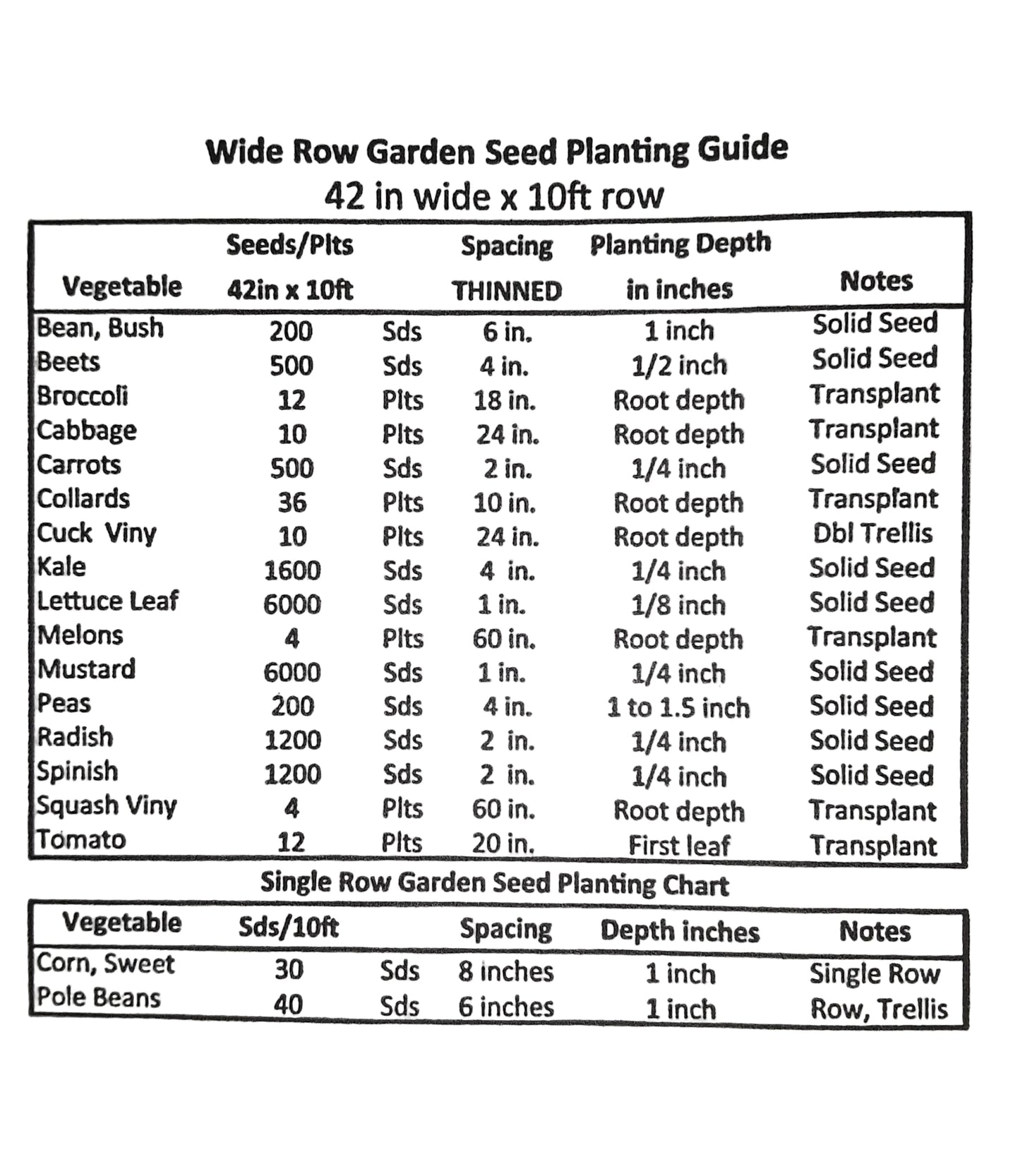 Italian Heirloom White Hen's Egg Eggplant Seeds