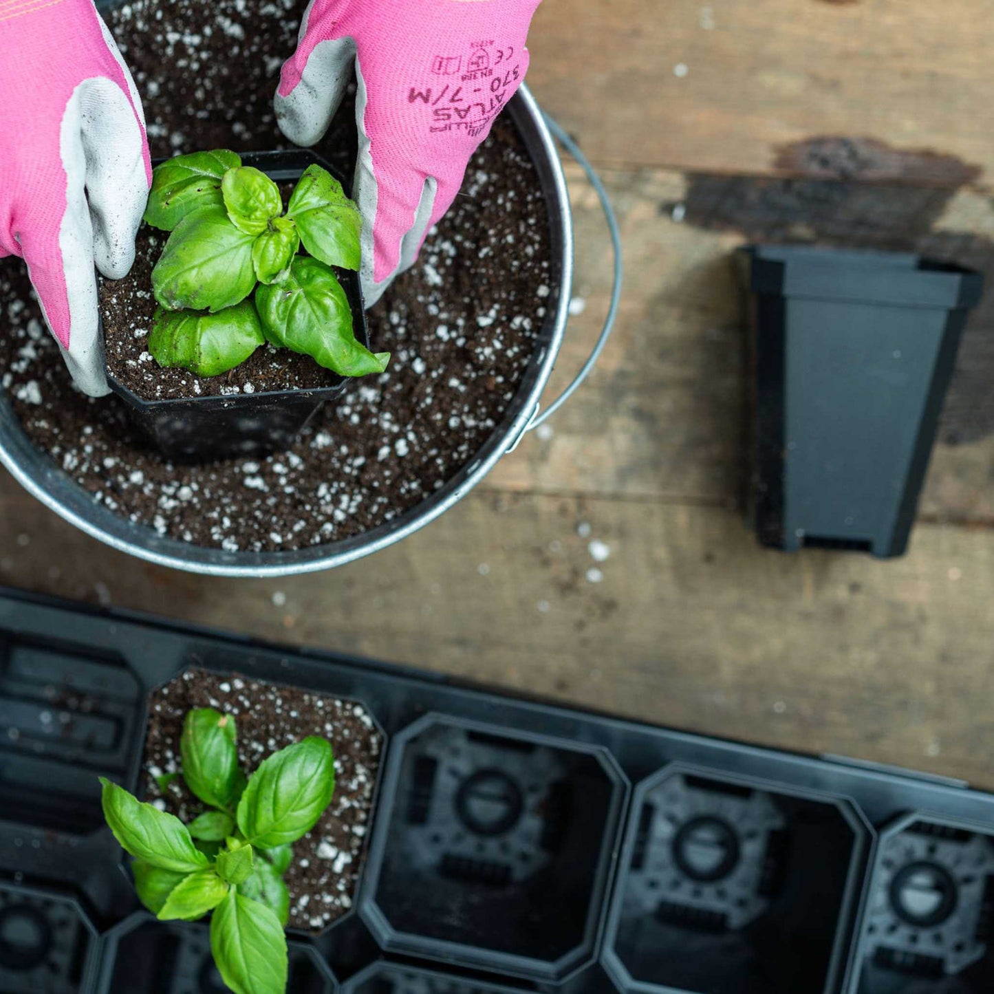 3.3" Heavy Duty Seed Starting Pots with Inserts - Midwest Grow LLC