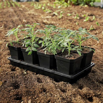 5" Heavy Duty Nursery Pots - Midwest Grow LLC