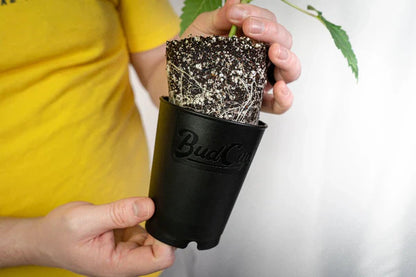 BudCups: Self-Draining - Midwest Grow LLC
