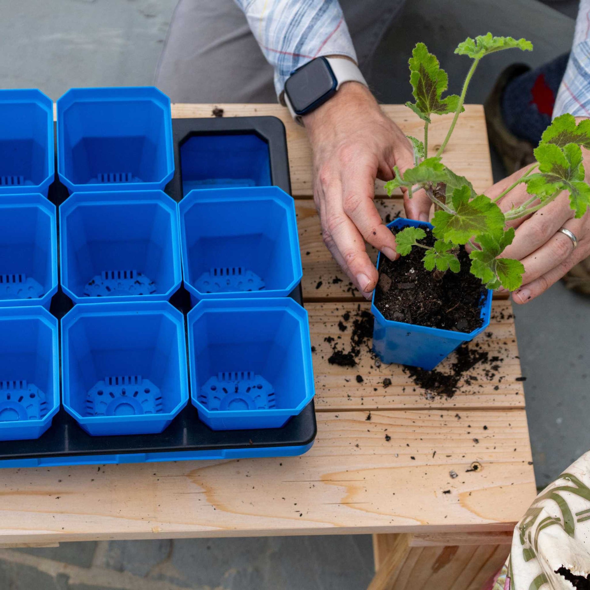 3.3" Heavy Duty Seed Starting Pots with Inserts - Midwest Grow LLC