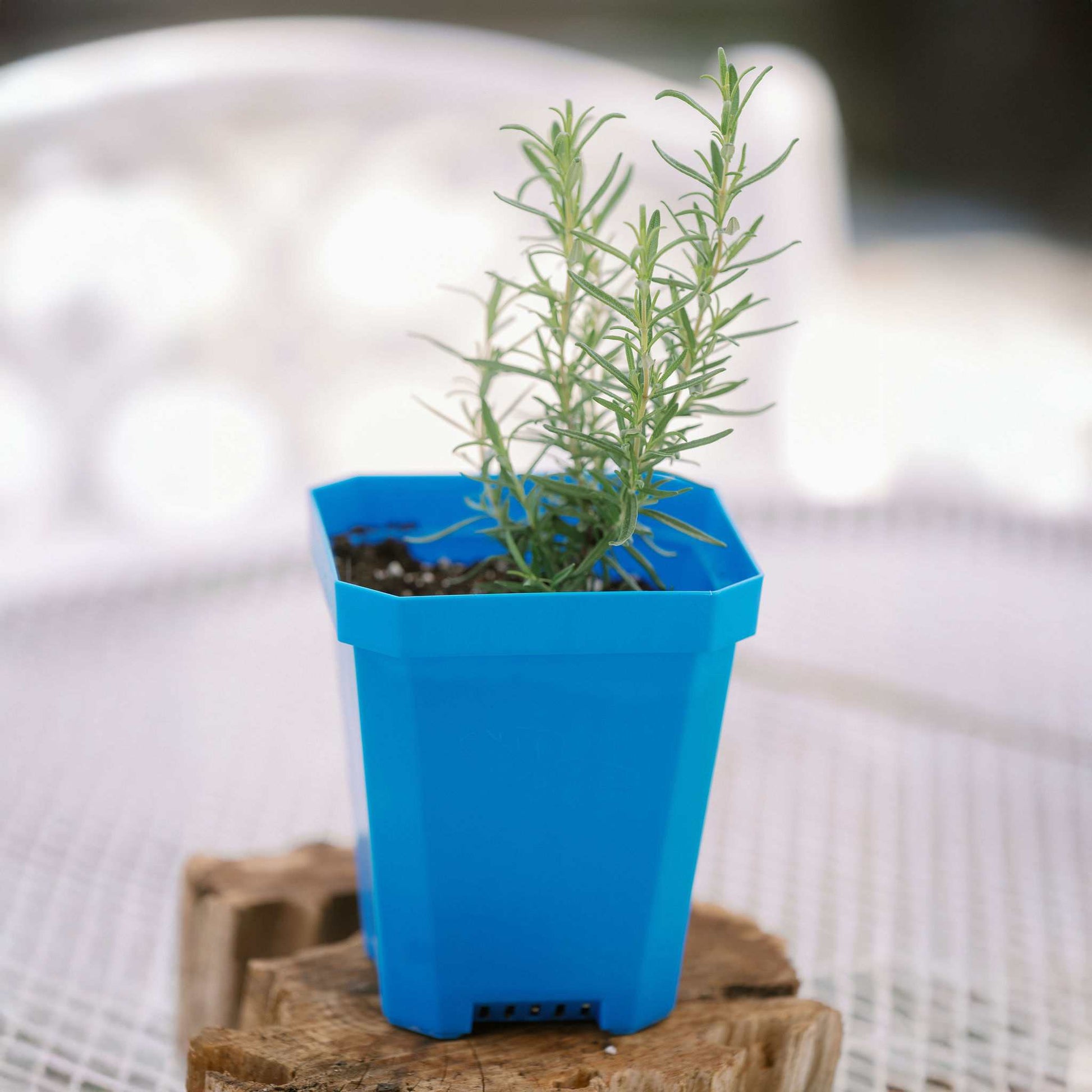 5" Nursery Pots with Insert Tray - Midwest Grow LLC