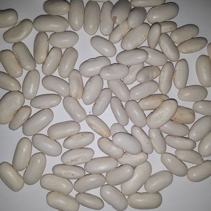 Heirloom Blue Lake Pole Bean Seeds
