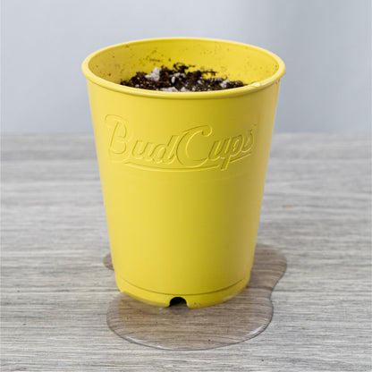 BudCups: Self-Draining - Midwest Grow LLC