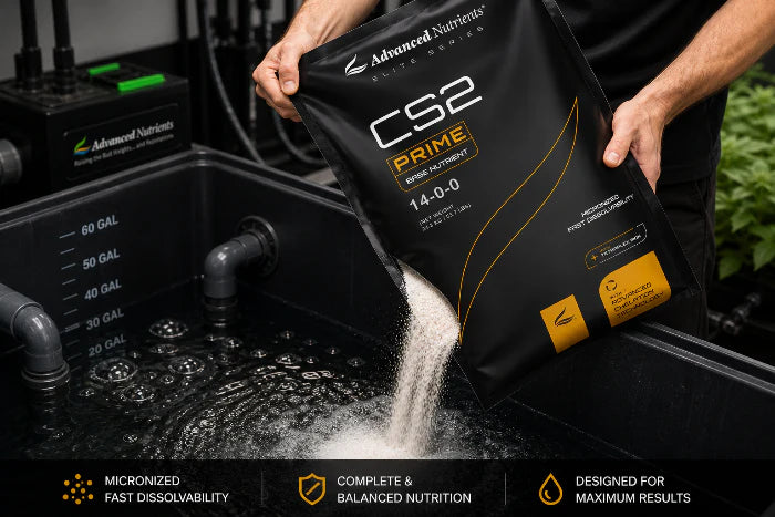 Advanced Nutrients CS2 Prime 8th Generation | Base Nutrient with Tetraplex Iron