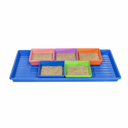 Classroom Microgreens Bundle - Midwest Grow LLC