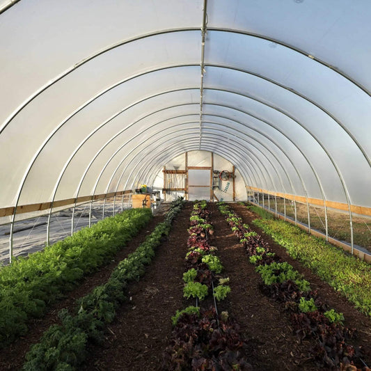 DIY Greenhouse Kit -12 ft Wide Hoop House
