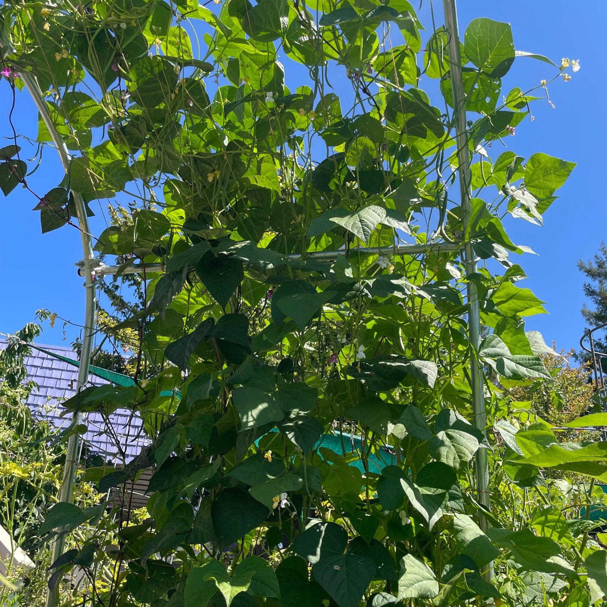 DIY Garden Arch - Midwest Grow LLC