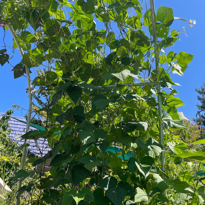 DIY Garden Arch - Midwest Grow LLC