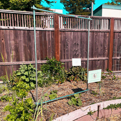 DIY Vine Trellis - Midwest Grow LLC