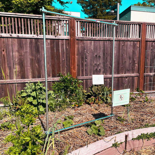DIY Vine Trellis - Midwest Grow LLC